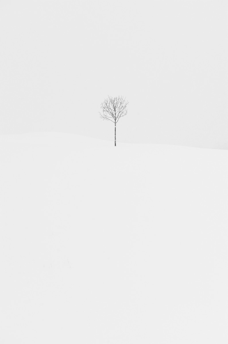 Paysage graphique #04, de Laurent Paillier The Art Cycle