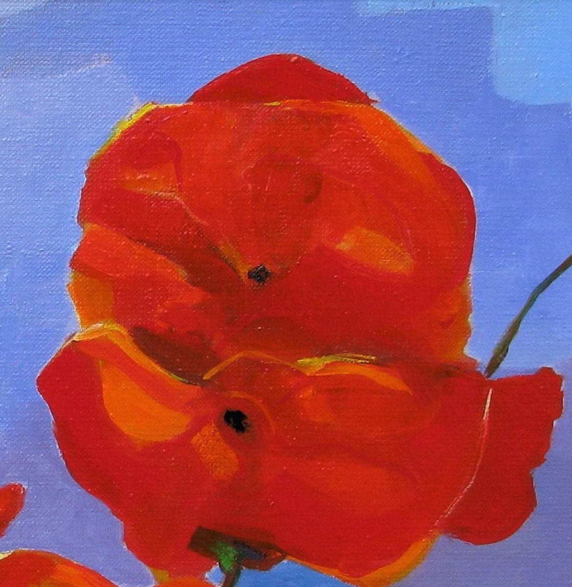 lejunter coquelicots theartcycle photo_secondaire 1269308275.jpeg The Art Cycle