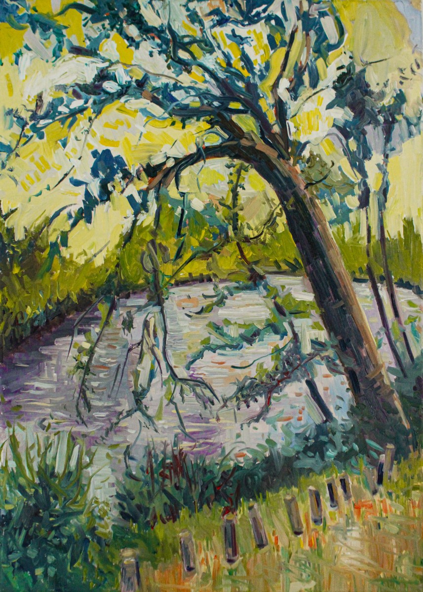 Arbre au bord de Seine, de Linda Clerget The Art Cycle