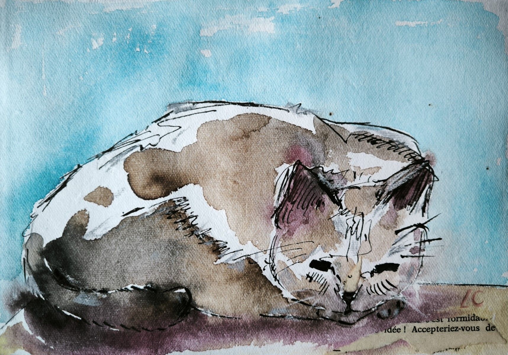 lindaclerget paressefeline theartcycle photo_secondaire 553029087.jpeg The Art Cycle