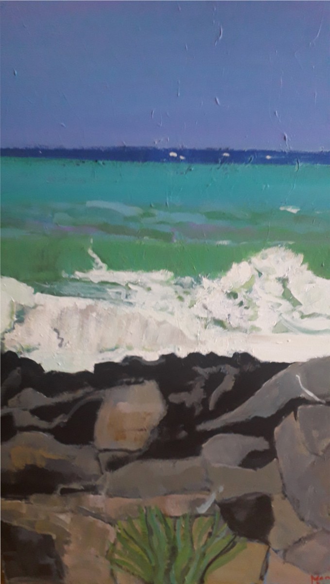 Hawaï, de Marc de Moulins The Art Cycle