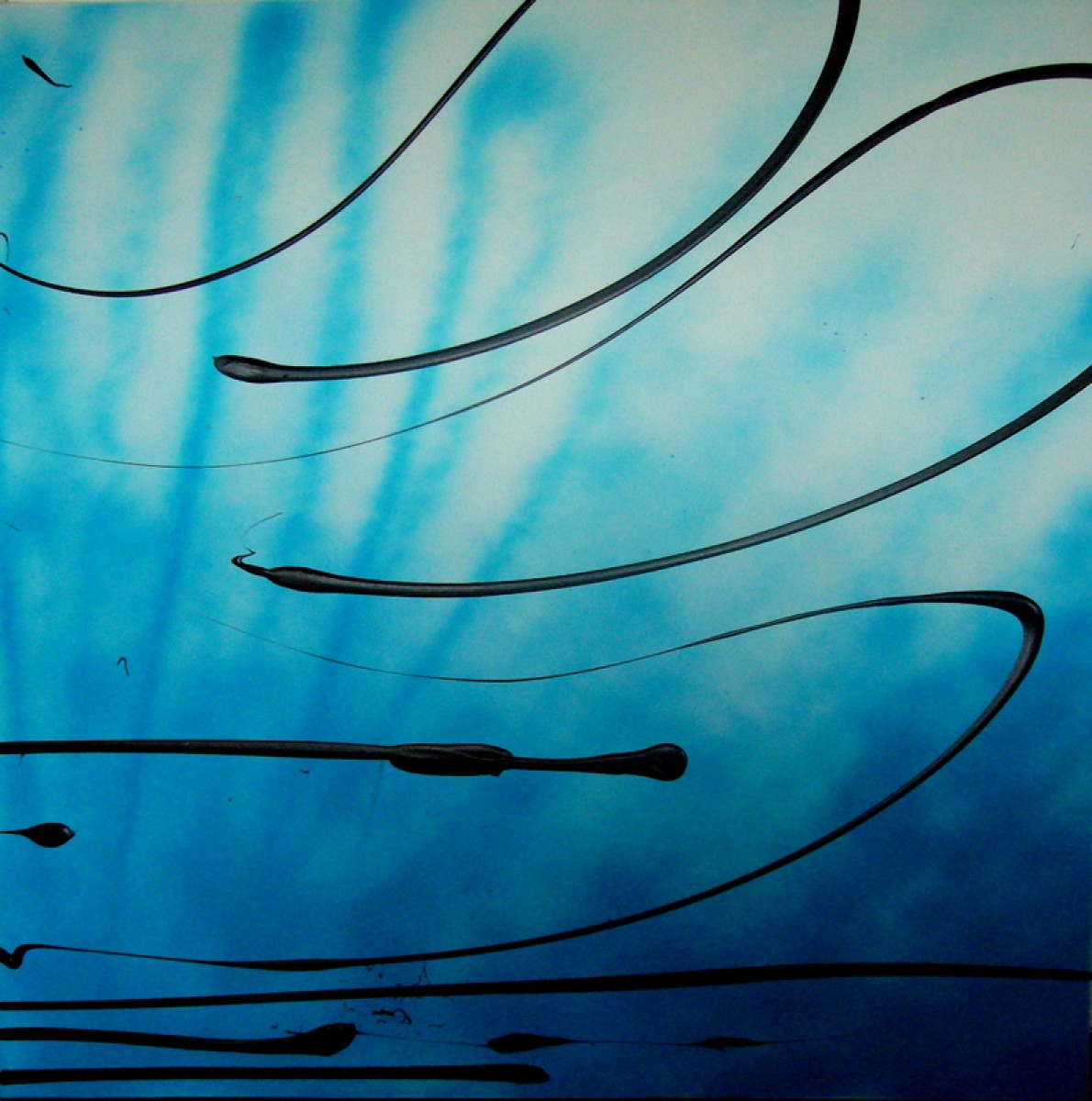 mariannelefevre envolee theartcycle photo_principale 1375664043.jpeg The Art Cycle