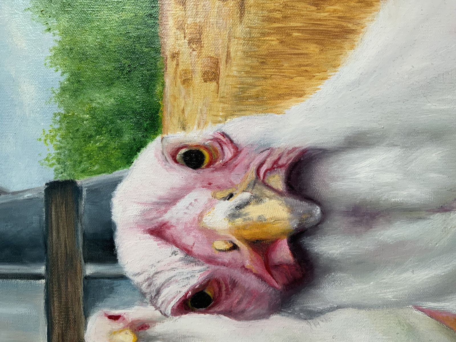mariebourgeois poulettes theartcycle photo_secondaire 61787211.jpeg The Art Cycle