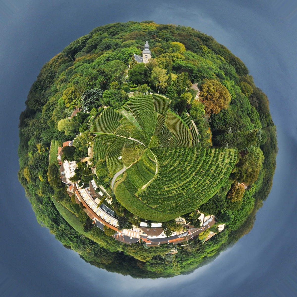 Hautvilliers en Champagne, de Michel Jolyot The Art Cycle
