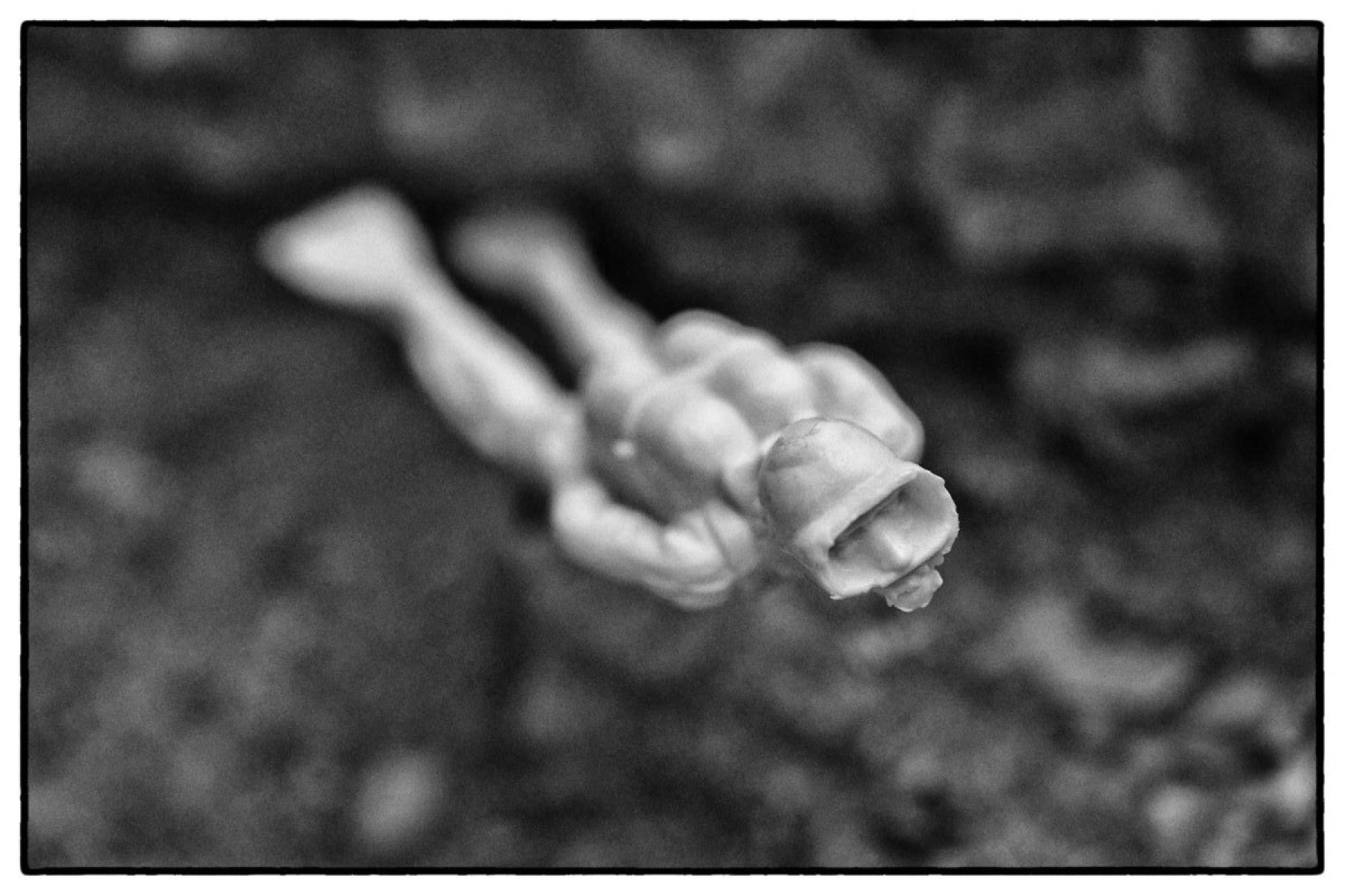 Homme grenouille, de Michel Jolyot The Art Cycle