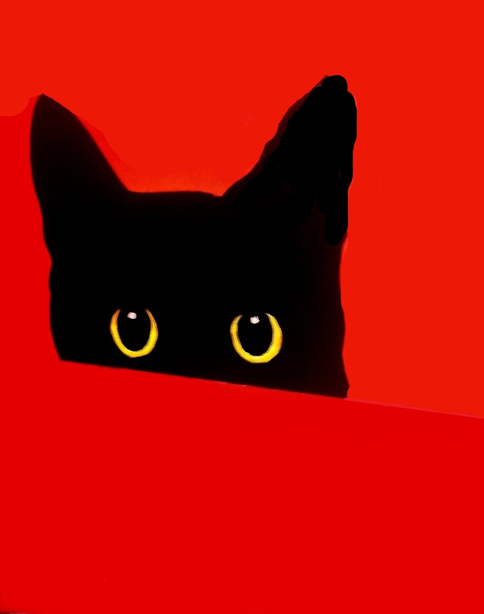 Chat, de Michel Ruelle dit Aero The Art Cycle