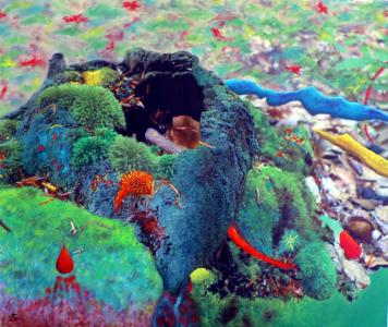Instant Suspendu, de Anne Sophie Guicheney The Art Cycle