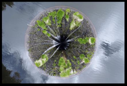 Islona, de Antoine et Alexia The Art Cycle