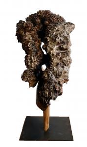 Pan, de Arthur Frenoy The Art Cycle