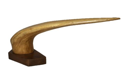 Pelikan, de Arthur Frenoy The Art Cycle