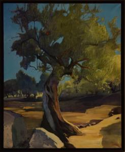 Le bel olivier, de Cécile Guth The Art Cycle