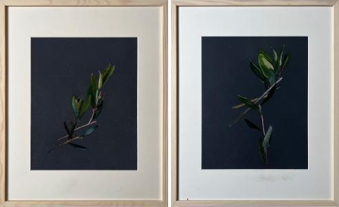Rameaux, de Cécile Guth The Art Cycle