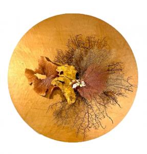 Astral, de Pascal  Hellegouarch The Art Cycle