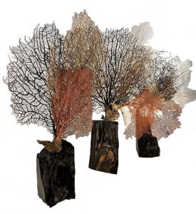 Trois, de Pascal  Hellegouarch The Art Cycle