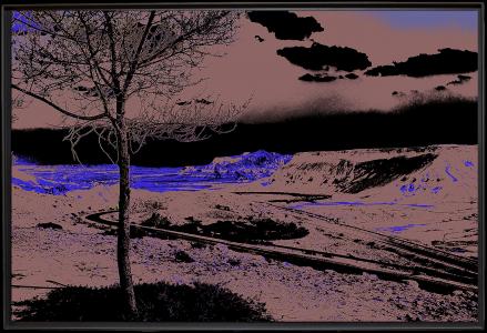 Mon Arbre Série 6 A36, de Danielle Aspis The Art Cycle