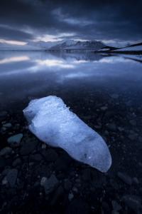 Clarity, de David Bouscarle The Art Cycle