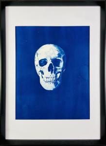 Skull, de David Decourcelle The Art Cycle
