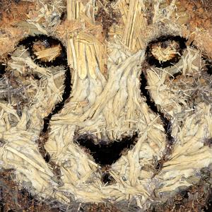 Cheetah Out Of Woods 1, de Frédéric Durieu Nathalie Erin The Art Cycle
