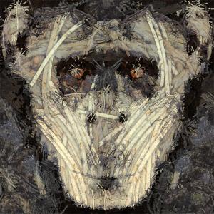 Chimpanzee Out Of Woods 1, de Frédéric Durieu Nathalie Erin The Art Cycle