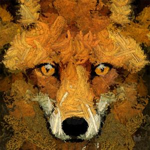 Fox Out Of Woods, de Frédéric Durieu Nathalie Erin The Art Cycle