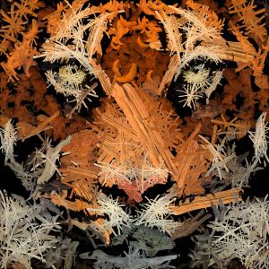 Tiger Out Of Woods 1, de Frédéric Durieu Nathalie Erin The Art Cycle