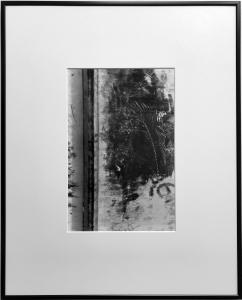 Transparence végétale #3, de Éric Bonnenfant The Art Cycle