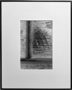 Transparence végétale #4, de Éric Bonnenfant The Art Cycle