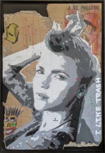 I like trash, de Eric Doisy The Art Cycle