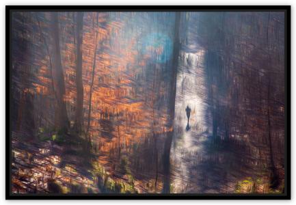 Forêt de Louveciennes Février, de Fan Li The Art Cycle