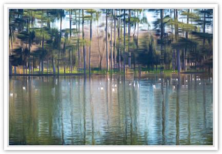Lac pins et mouettes, de Fan Li The Art Cycle