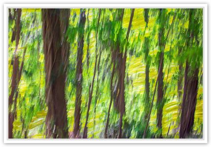 La forêt de chênes, de Fan Li The Art Cycle
