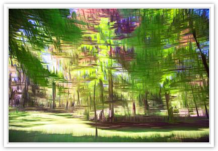 L été dans la forêt, de Fan Li The Art Cycle