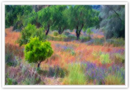 Couleurs de mai Sicile, de Fan Li The Art Cycle
