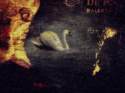 Black swan, de Philippe Yvon The Art Cycle