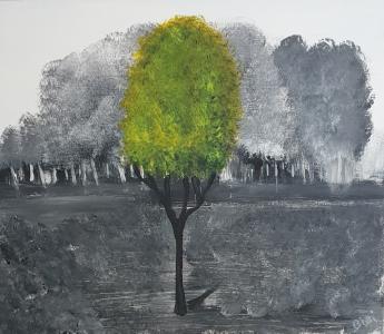 Ombre et couleurs, de Franck Lobbe The Art Cycle