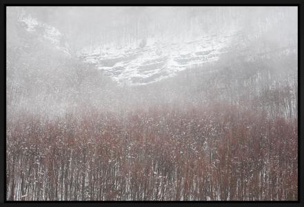 Dancing in the mist, de Frédéric Bucheton The Art Cycle