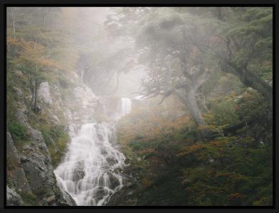 Into the wild, de Frédéric Bucheton The Art Cycle