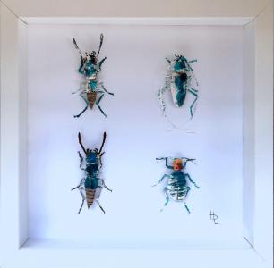 Coléoptère II, de Hélène Lacquement The Art Cycle