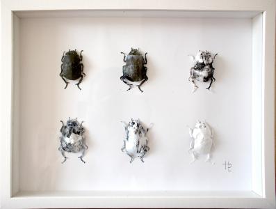 Scarabeus sacer, de Hélène Lacquement The Art Cycle