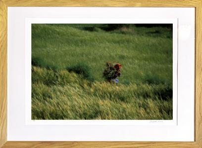 Bergère dans les herbes, de Jacques Bravo The Art Cycle