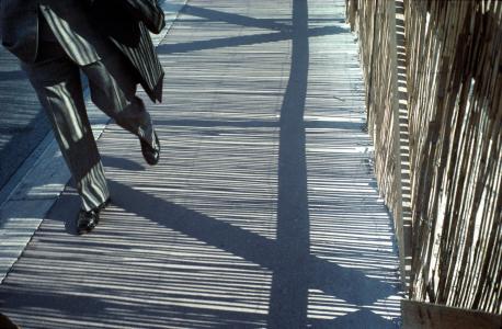 Canisses, de Jean Robert Franco The Art Cycle