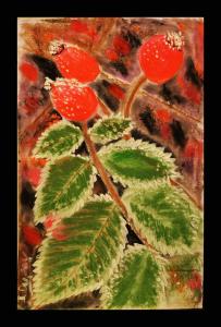 Givre sur les gratte-cul, de Jerome Dufay The Art Cycle