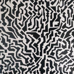 Black and white 01, de Julien Fauvaux The Art Cycle