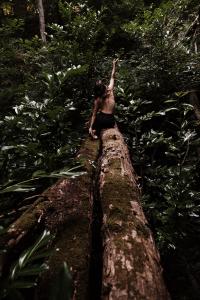 Danse in situ 03, de Laurent Paillier The Art Cycle