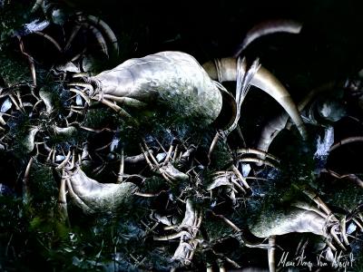 Multiple et vivant, de Marie Ange Van Meyel The Art Cycle