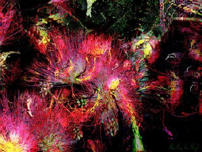 Sortir la nuit, de Marie Ange Van Meyel The Art Cycle
