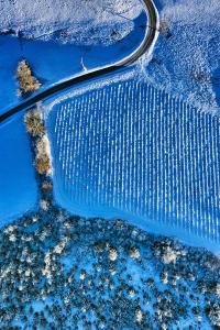 Topologie locale, de Matthieu Grospiron The Art Cycle