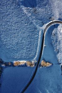 Topologie locale II, de Matthieu Grospiron The Art Cycle