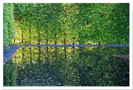 Vert reflet, de Michel Hirsch The Art Cycle