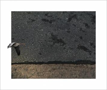 Paysage de bitume 5 sur 6, de Nicolas Lespagnol The Art Cycle